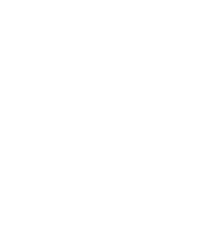 item.name_image.alt }}